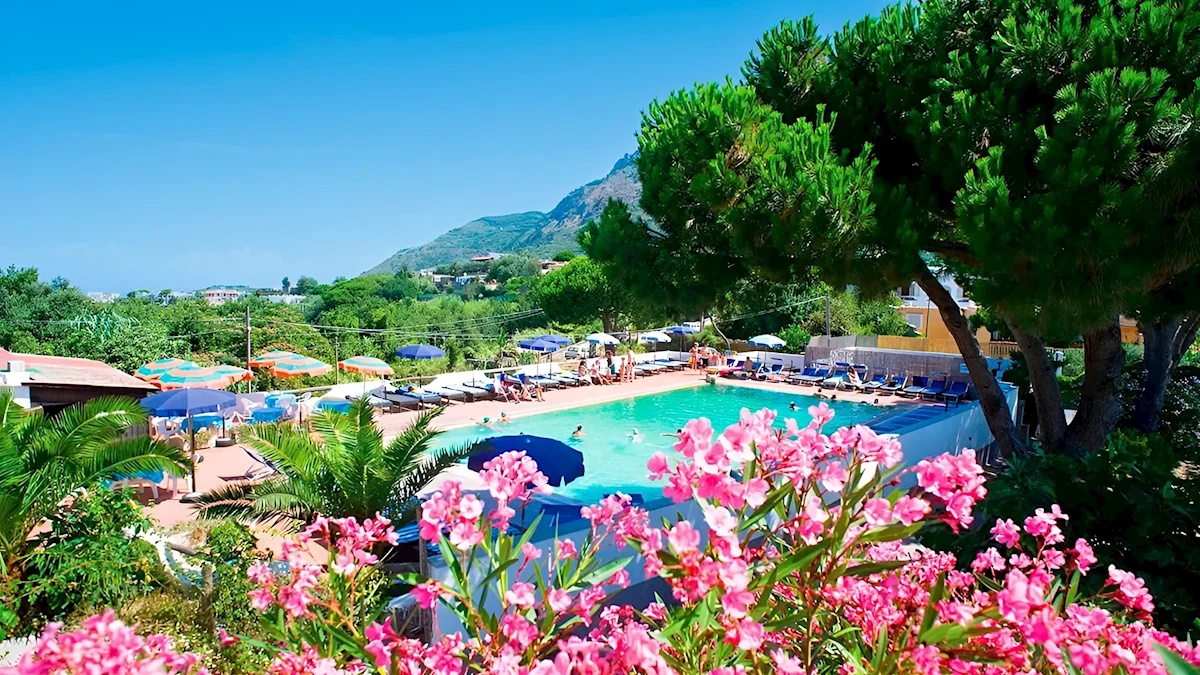 Hlavní obrázek galerie