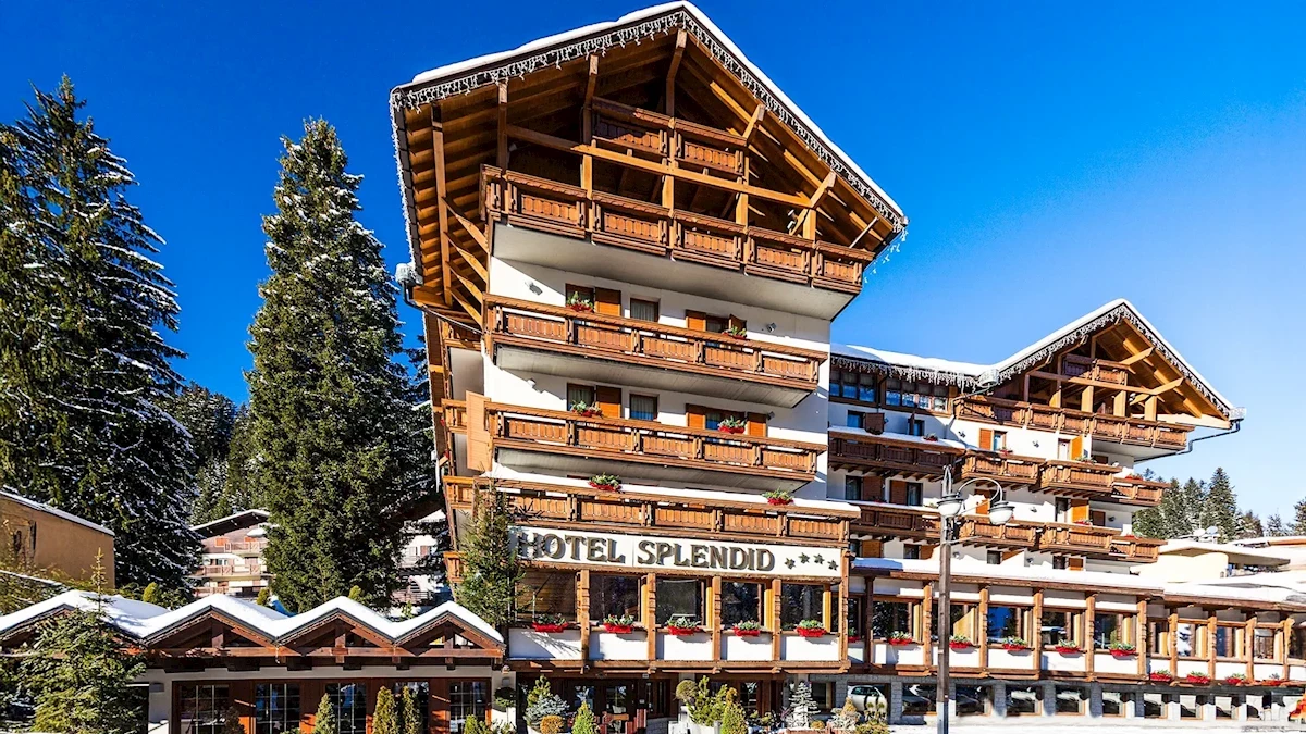 Główne zdjęcie galerii