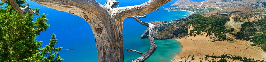 Kallithea
