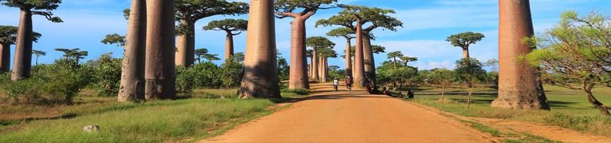 Madagaskar