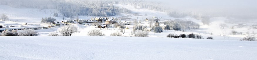 Zieleniec