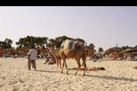 Hammamet - Na plazy w Hammamecie