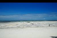 Hotel Dream of Zanzibar - Plaża