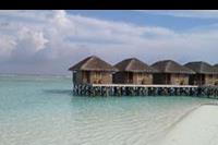 Hotel Meeru Island Resort - domki na wodzie