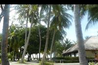 Hotel Meeru Island Resort - ogród