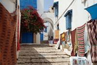 Hotel Paradis Palace - Sidi Bou Said
