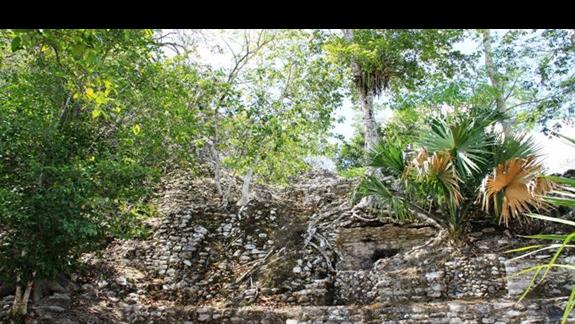 COBA  Mayan city and Mayan  pyramid - polecam wycieczkę 