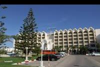 Hotel Amir Palace - 