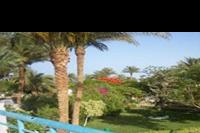 Hotel Shams Safaga - Piekny kolorowy ogród