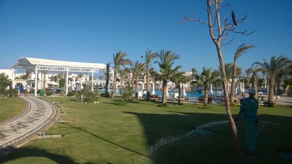 Ogród Hotelu Hilton Marsa Alam Nubian Resort 