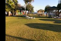 Hotel Justiniano Club Park Conti - Trawnik przy plaży