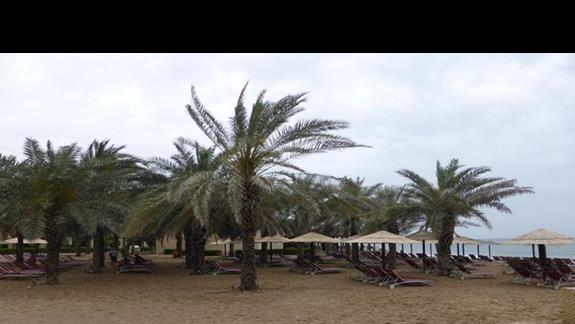 Plaża przy hotelu Miramar Al Aqah Beach Resort